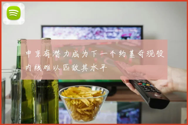 申京有潜力成为下一个约基奇现役内线难以匹敌其水平