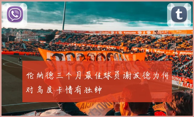 伦纳德三个月最佳球员谢泼德为何对乌度卡情有独钟