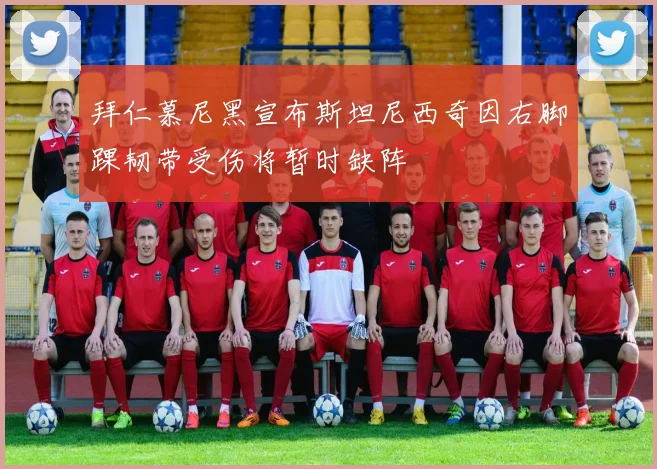 拜仁慕尼黑宣布斯坦尼西奇因右脚踝韧带受伤将暂时缺阵