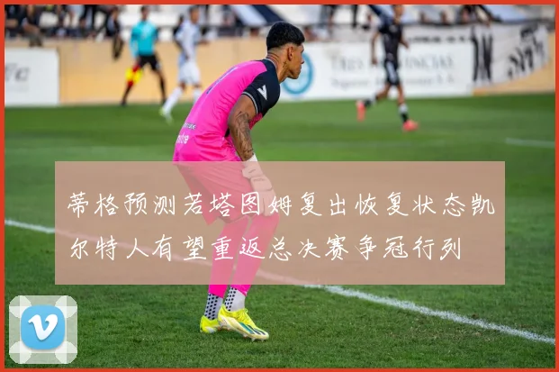 蒂格预测若塔图姆复出恢复状态凯尔特人有望重返总决赛争冠行列