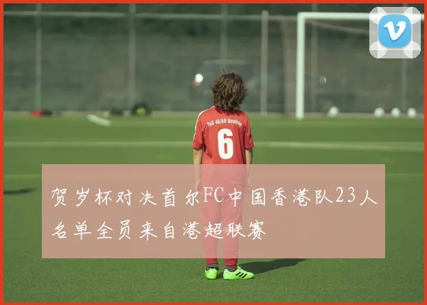 贺岁杯对决首尔FC中国香港队23人名单全员来自港超联赛
