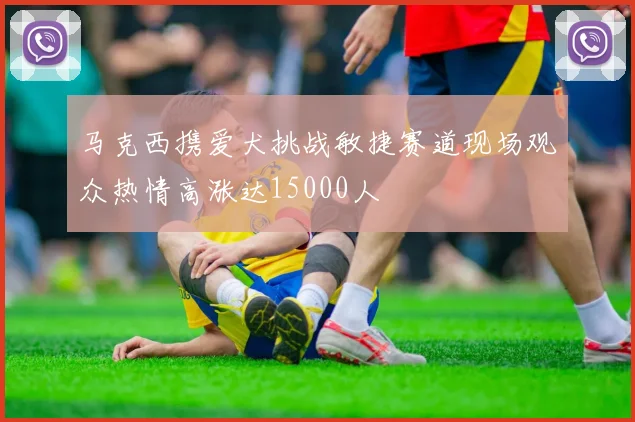 马克西携爱犬挑战敏捷赛道现场观众热情高涨达15000人